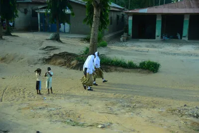 DSC_7803 (Large).JPG